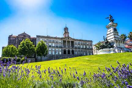Eine Lavendelwiese im Vordergrund mit dem Palacio da Bolsa im Hintergrund