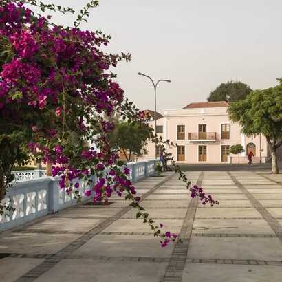 Entspanntes Inselflair und farbenfrohe Pflanzenwelt auf der Vulkaninsel Fogo.