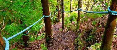 Wanderung-rocha-do-chambre-terceira-pfad