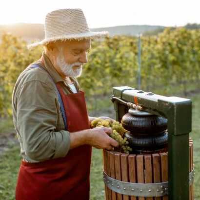 Winzer bei der Weinherstellung im Alentejo – kulinarische Genussreise Portugal