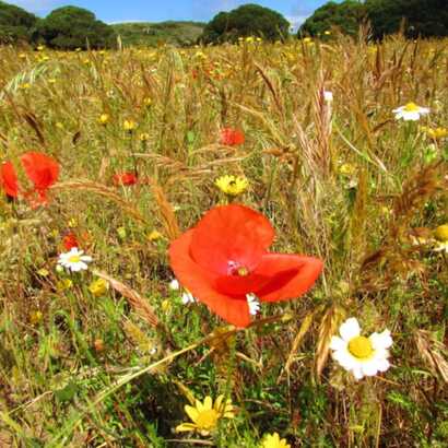 9d0c8fe7-8b74-4067-90de-ee308c0abad5 large