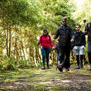 Walking Trails