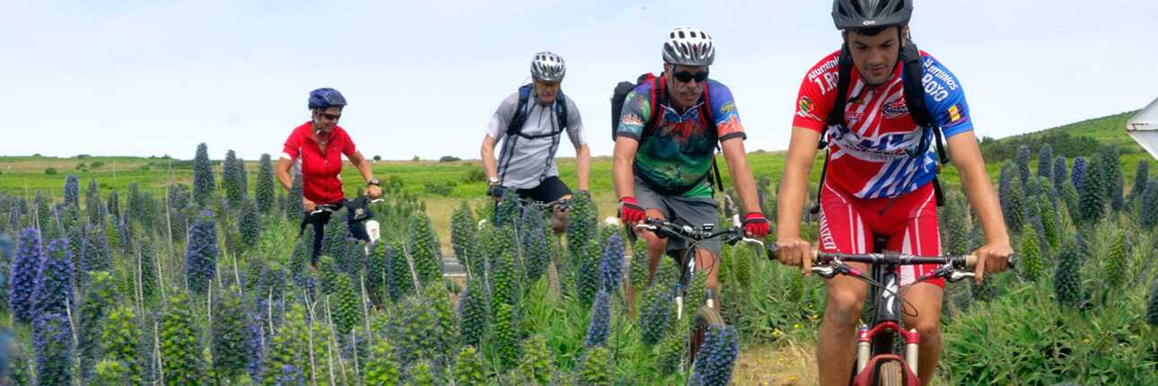 Madeira Reisezeit zum Biken: ganzjährig