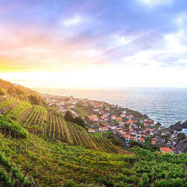 Madeira Wein