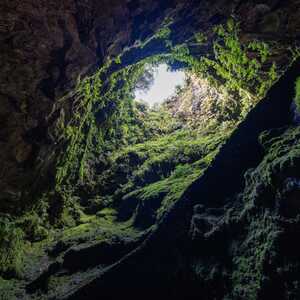 Eingang der Gruta do Natal auf Terceira, teilweise mit üppigen grünen Pflanzen überwachsen, Blick von innen nach draußen auf die natürliche Umgebung der Azoren