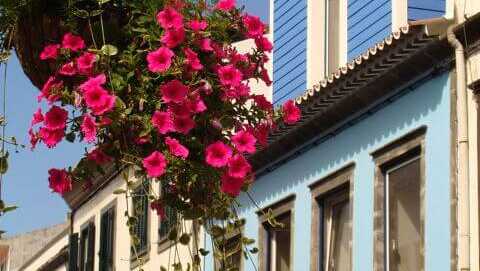 Hotel-apartamentos-kosmos-fassade-blumen