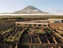 Die Azores Wine Company auf Pico mit moderner Architektur, traditioneller Weinbergmauer und Blick auf den Vulkan Pico