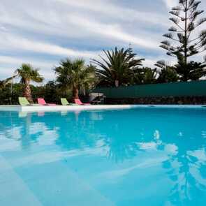 Quinta-de-santa-barbara-pool-palmen