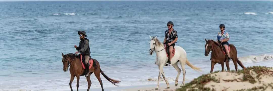 Reiten am Strand von Sal - Abenteuer und Naturerlebnis