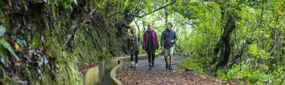 Vier Personen wandern auf einem schmalen, feuchten Waldweg durch dichtes, grünes Laub auf Madeira; links verläuft eine moosbewachsene Felswand mit Wasserkanal (Levada), die Gruppe geht entspannt und unterhält sich.