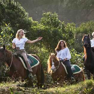 Solz aber sanftmütig: die Lusitano-Pferde der Patio Lodge