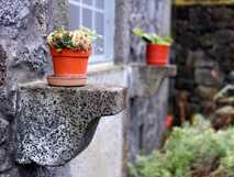 Kleiner Gartenblick auf der Insel – authentische Ruhe und Natur mit picotours entdecken.