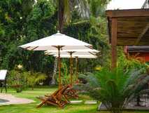 Grüner Poolbereich mit Sonnenschirmen und Liegen in der Omali Lodge Sao Tome