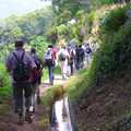 Wandern im Gänsemarsch - entlang der Levadas auf Madeira