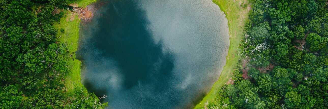Bild aus der Volgelperspektive. Ein kleiner See liegt ruhig im Wald von Fanal