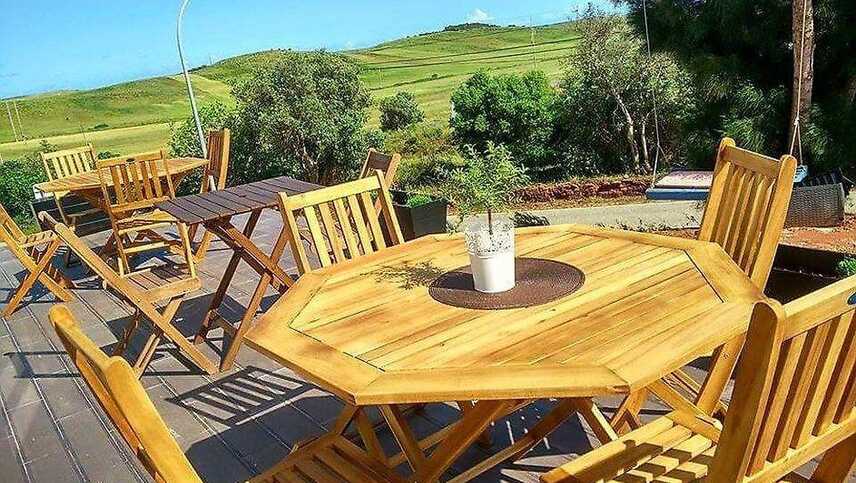 Flor-de-esteva-457139607