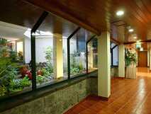 Hotel Camoes auf São Miguel, einladender und stilvoll gestalteter Innenbereich mit begrünten Atrium, ideal für entspannte Urlaubsmomente.