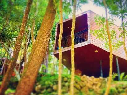 Moderne, erhöhte Holzhütte der Caparica Ecolodge inmitten eines dichten Waldes auf São Jorge – nachhaltiges Wohnerlebnis in der Natur