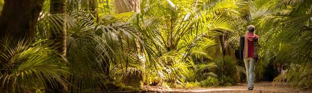 Entdecken Sie das Hawaii Europas - auf der Azoreninsel Sao Miguel