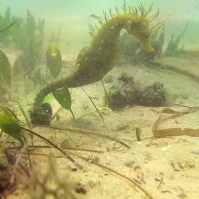 438be79f-b616-498d-a617-d47a25bfa638 large