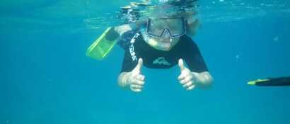 9545279c-7bde-4de8-949d-913ae5b0ea24 large