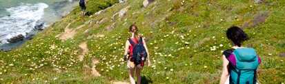 Im Frühling erblüht die Küstenlandschaft in Portugal