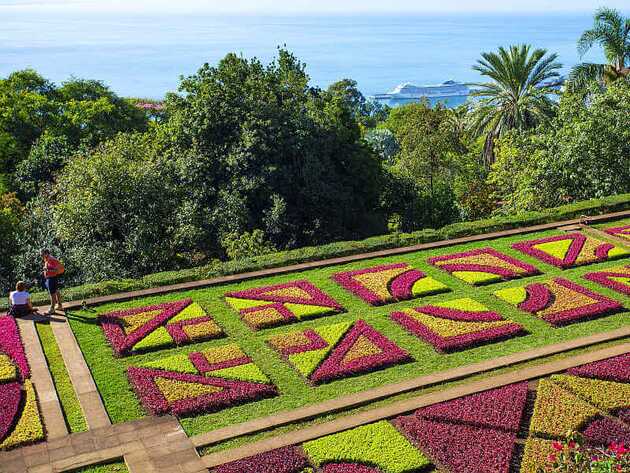 Madeira Natur: Der Jardim Botanico bezaubert mit Blumen und Bäumen