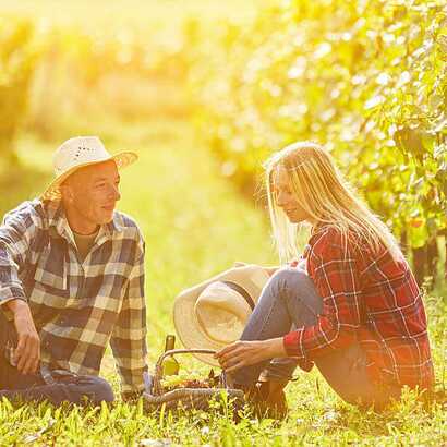 Picknick mit Madeira Wein