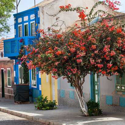 Inseltour-boa-vista-historische-haeuser