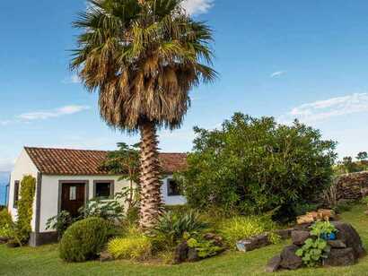 Jardim-do-triangulo-ferienhaus-pico-palmengarten