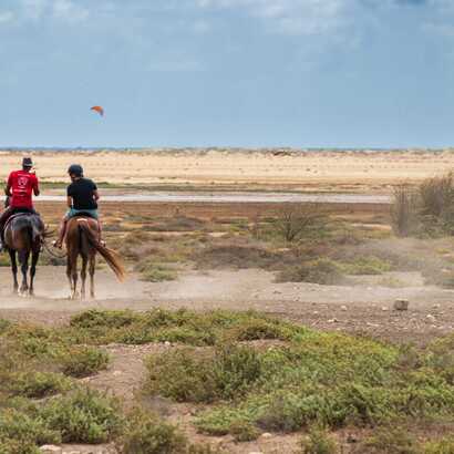 Reiten-salzseen-sal-landschaft