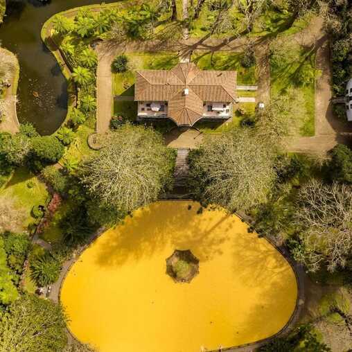 Highlight jeder Azoren Reise - der Terra Nostra Park in Furnas