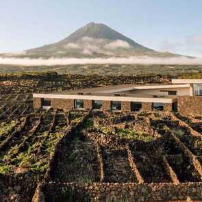 Hotel-azores-wine-company-vulkanblick-weinberge