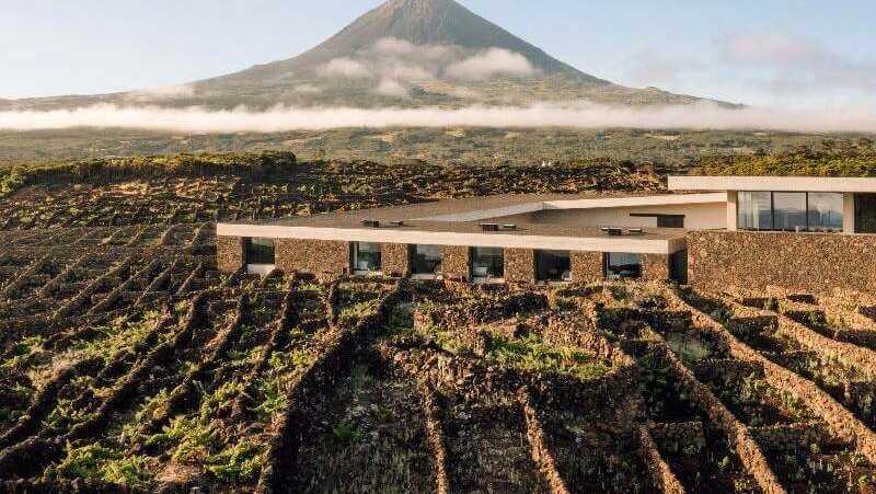 Hotel-azores-wine-company-vulkanblick-weinberge