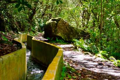 Idylle pur: Wandern entlang der Levada do Norte auf Madeira