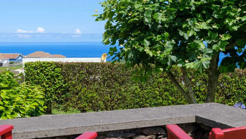 Tradicampo-casa-da-fonte-18