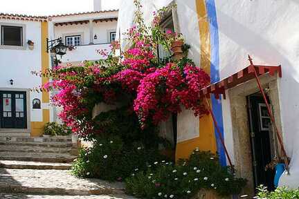 Portugal Urlaub in der Region Centro, weiße Häuser mit blauen oder gelben Rahmen und farbigen Blumen