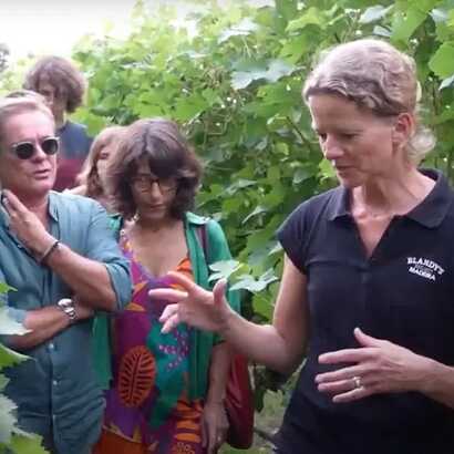 Fuehrung-weinberg-santa-luzia