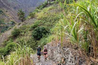 Zwei Wanderer auf einem Pflasterweg durch grüne Terrassenlandschaften auf den Kapverden.