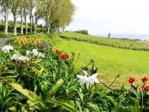Casa do Monte auf São Miguel, üppige Blumengärten und weite grüne Landschaften mit Meeresblick für entspannende Naturerlebnisse.
