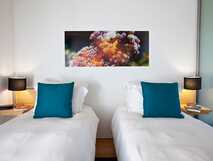 A Casa do Ouvidor auf Pico, modernes und gemütliches Zimmer mit zwei Einzelbetten.