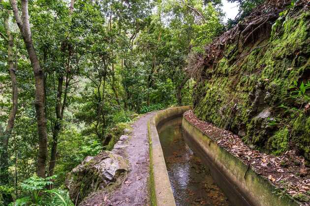 Ein schmaler Weg entlang der Levada durch einen idyllischen Wald. Hier Wandern Sie auf Madeira in schönster Natur und entdecken viele Sehenswürdigkeiten.