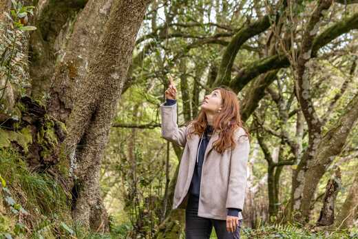 Wanderin entdeckt beeindruckende Naturwunder im grünen Wald – Abenteuer mit picotours erleben.