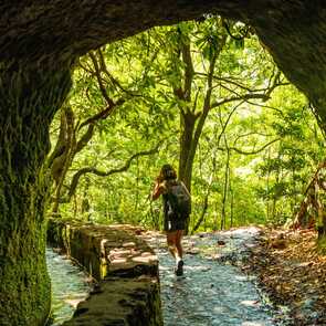 Auf-zu-madeiras-wasserfaellen