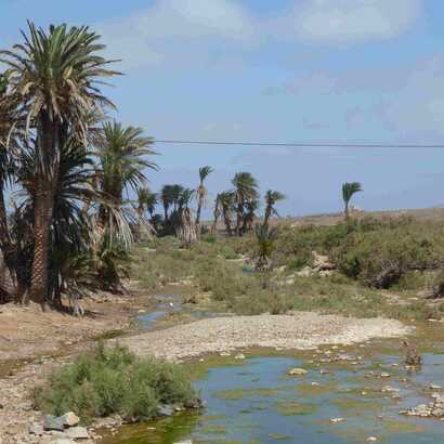 Inseltour-boa-vista-nordseite-oase