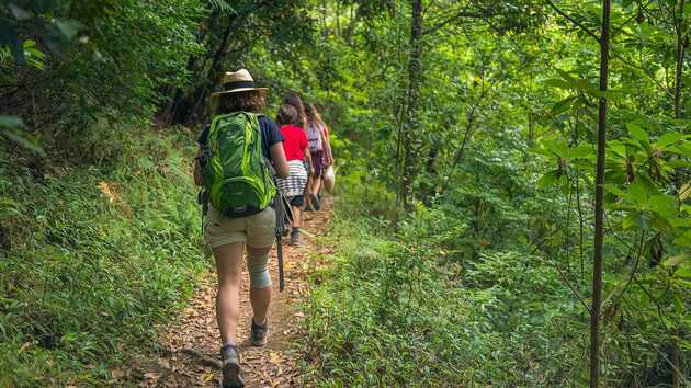 Kleine Wandergruppe auf den Levadawegen auf Madiera