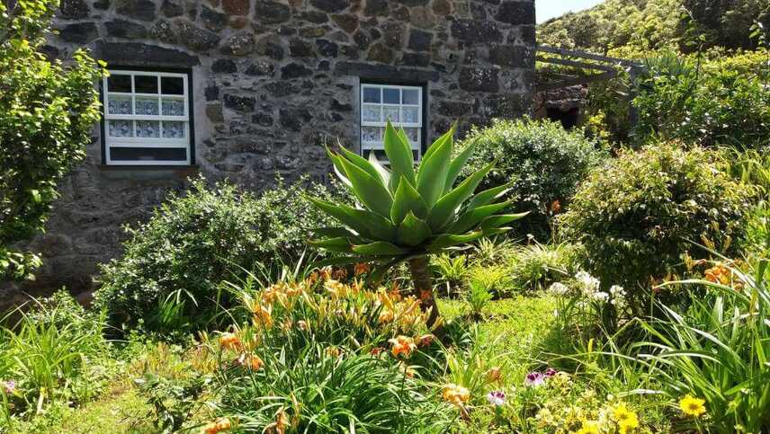 Quinta-dos-frutos-garten