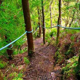 Wanderung-rocha-do-chambre-terceira-pfad