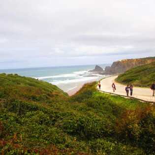 7c4ff875-15ca-4273-882e-f3e6e22afb6f large