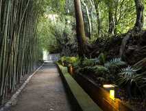 Quinta da Mo auf Sao Miguel, wunderschöner, grüner Gartenweg mit romantischer Beleuchtung für entspannte Spaziergänge.